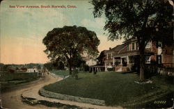 Sea View Avenue Postcard