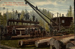 The Way they Operate on Timbers in the Northwest Postcard