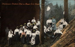 Chautauqua Climbers Club in Royal Grill Room Boulder, CO Postcard Postcard