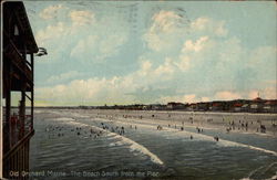 The Beach South from the Pier Postcard