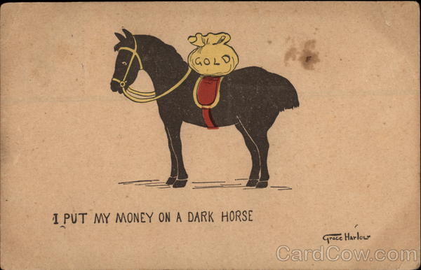 i-put-my-money-ona-dark-horse-phrases-sayings