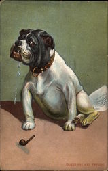 Bull Dog and Pipe Postcard