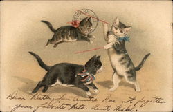 Three Cats with Ribbons around Necks Jump and Play Postcard Postcard