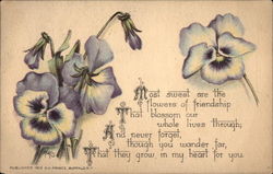 Pansies: Most Sweet are the Flowers of Friendship Postcard Postcard