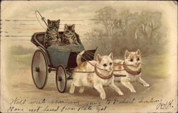 Two Striped Cats in Carriage Drawn by Two White Cats Postcard Postcard