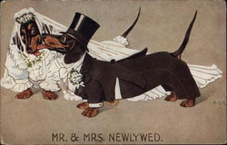 Mr. & Mrs. Newlywed Postcard