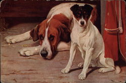 Two Dogs Resting Postcard