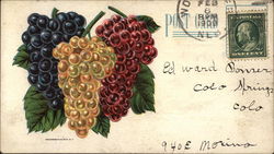 Grapes Advertising Postcard Postcard