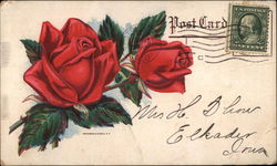 Office of The German Nurseries and Seed House Postcard