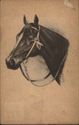 Charcoal Horse Drawing Horses Postcard Postcard