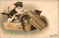 Four Kittens in a Crate Postcard