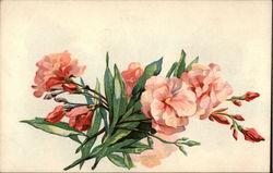 Sprig of Pink Flowers Postcard