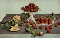 Midwinter Strawberries and Roses in California Postcard