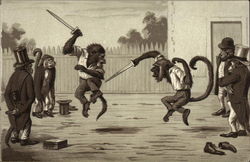 Monkeys Knife Fighting Postcard Postcard