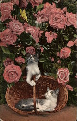 Cats in Basket Under Rose Bush Postcard