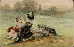 Four Cats Drinking From a Tin Postcard