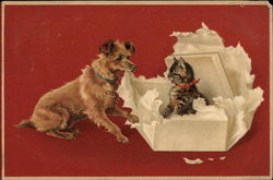 Dog and a Kitten in a Box Postcard