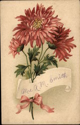 Sprig of Pink Flowers Tied with a Bow Postcard