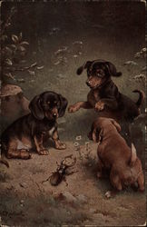 Puppies and Beetle Dogs Postcard Postcard