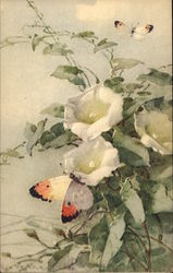 Butterfly on Flowers Postcard