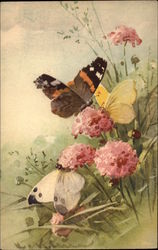 Butterflies and Flowers Postcard