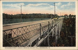 Sycamore Street viaduct, Showing Walnut Hill Petersburg, VA Postcard Postcard