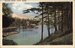 Sluice Pond Lynn, MA Postcard Postcard