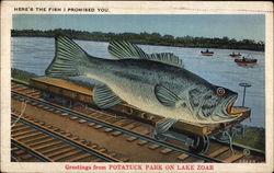 Here's the Fish I Promised You Lake Zoar, CT Postcard Postcard