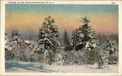 Winter in the White Mountains Postcard