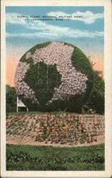 Floral Globe, National Military Home Postcard