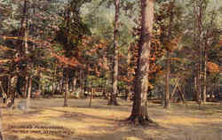 Children's Playground, Palmer Park Postcard