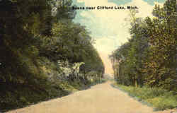 Scene near Clifford Lake Postcard