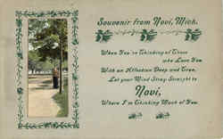 Souvenir from Novi Postcard