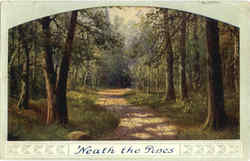 Neath the Pines Postcard