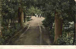 Lovers Lane, Vinewood Park Postcard