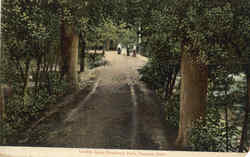 Lovers Lane, Vinewood Park Postcard