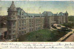 Museum of Natural History Postcard