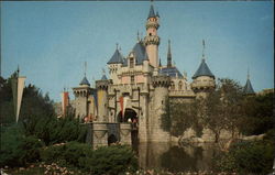 Sleeping Beauty Castle Postcard