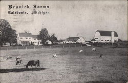 Brunick Farms Postcard