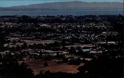 Panorama of the City Santa Cruz, CA Postcard Postcard