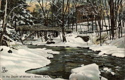 Bronx Park - In the Depth of Winter Postcard