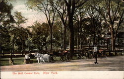 The Mall Central Park New York, NY Postcard Postcard