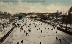 Skating on the Don River Postcard