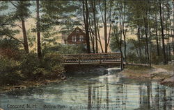 Rollins Park Concord, NH Postcard Postcard