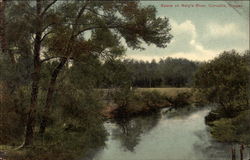 Scene on Mary's River Postcard