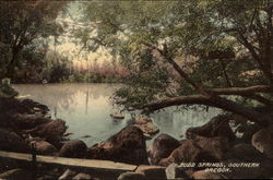 View of Budd Springs Postcard