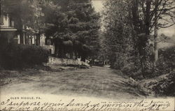 View of Country Road Postcard