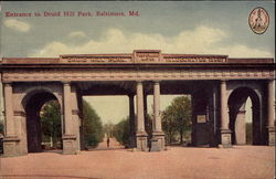 Entrance to Druid Hill Park Postcard