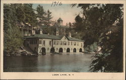 Buildings on Loon Lake New York Postcard Postcard