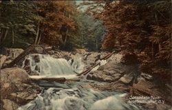 Sacandaga River Postcard